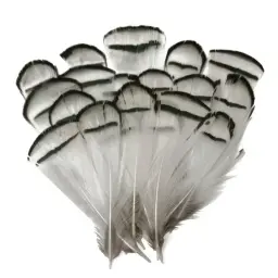 Pena De Pavão Natural Para Artesanato, Penas De Avestruz, Penas De Faisão Para Fazer Jóias, Ornamentos De Carnaval, Decoração Plumas - Image 3