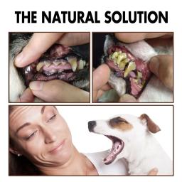 Pet Tooth Cleaning Spray, Remove o ambientador de mau hálito, Limpeza Oral de Gatos, Cuidado Odontológico, Desodorização, Pet Shop, 30ml - Image 4