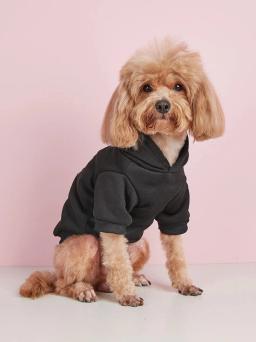 Roupas impressas em veludo confortáveis para animais, moletons quentes para cães e gatos, simples e trela - Image 4