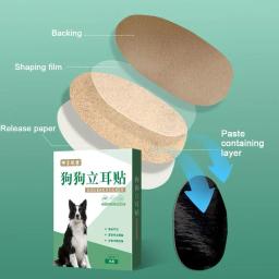 Conjunto de 2 peças para apoio orelha do cão adesivos, orelha correção suprimentos, orelha cuidados ferramentas, conveniente e eficaz - Image 5