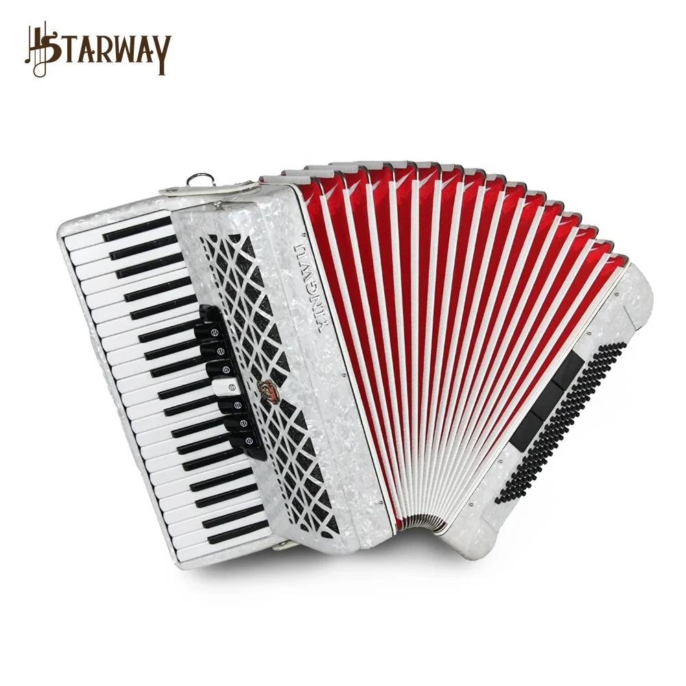 Papagaio acordeão diatônico Piano, instrumento musical para iniciantes, chinês, 41 teclas, 120 graves, 10 registros - Image 1