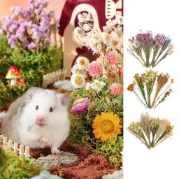 Nature Flower Herb Bedding Decor, Hamster Cage Suprimentos para Gerbils Coelho e Outros Pet Pequeno - Image 2