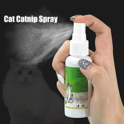 Catnip Spray para gatinhos e gatos, atrativo seguro, ingredientes saudáveis, fácil de usar, presentes para animais, 50ml - Image 5