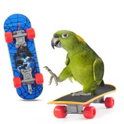 Pássaro brinquedos para periquitos 4-kind conjunto aves mastigando e jogando brinquedos tamanho adequado melhorar a capacidade de discriminação de cor - Image 4