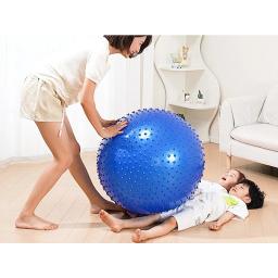 55cm bola de yoga exercício ginástica fitness pilates bola equilíbrio exercício ginásio fitness yoga bola treinamento interno yoga bola núcleo - Image 5