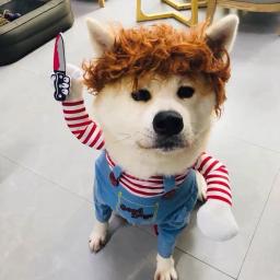 Roupa assustadora do Dia das Bruxas com braços para animais de estimação, cão e gato, Chucky Dog Cosplay, roupas para animais, filhote de cachorro - Image 3