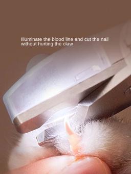 PETKIT-Cortador de unhas profissional para gato e cachorro, atualizado LED Light, cortador PRO, linha sanguínea iluminada, musgo Pet Claw Trimmer, beleza - Image 3