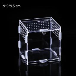 Réptil acrílico transparente terrário habitat caixa de reprodução répteis gaiola nano arboreal tarântula gabinete dragão barbudo - Image 6