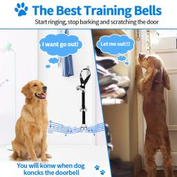 Pet campainha de treinamento para cães, Corda Treinamento Suprimentos, Treinamento Aids Equipamento, Cães Acessórios, Out Dog - Image 2