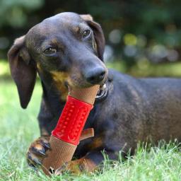 Brinquedo de dentição interativo para pequenos animais de estimação, Portátil para mastigadores agressivos, Brinquedo dentição para cães - Image 3