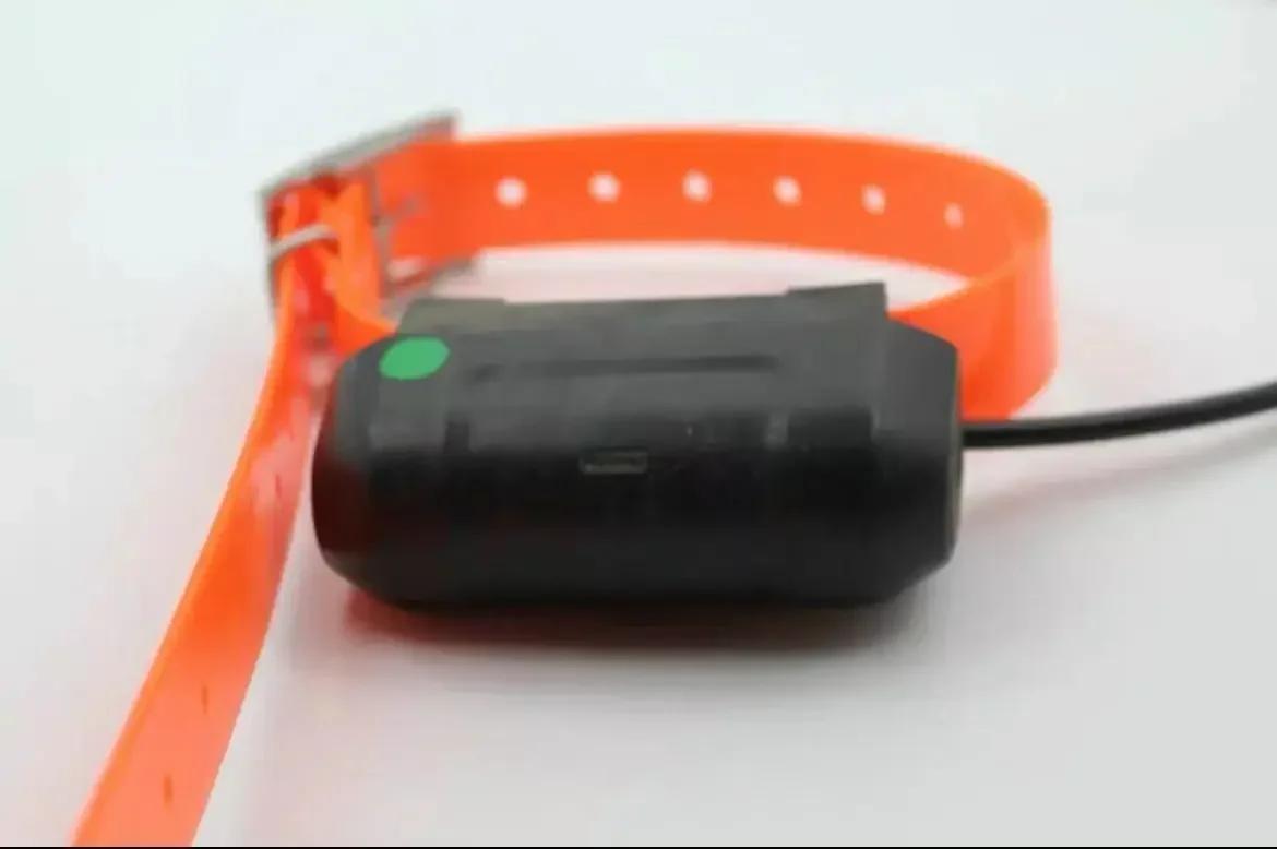 Equipamento para 430/50/320 localizador de sabues cão gps caça rastreador t5/t5mini colar - Image 1