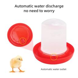 Jarro água para aves, pequeno alimentador água para aves, recipientes para alimentos - Image 4