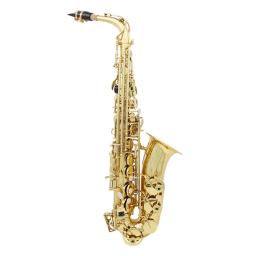 Saxofone Alto SLADE-Eb com White Shells Chaves, Brass Body, Sax Set Case, Saxofone Professional Acessório, instrumentos de sopro - Image 2