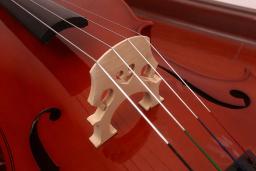 Violoncelo Red Light Basswood do iniciante, 4/4 Maple painel lateral traseiro, instrumento de cordas do estudante, iniciante profissional - Image 4