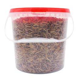 Mealworms High-Protein para Pássaros Selvagens, Frango, Patos, Peixe, Réptil, Tartaruga, Anfíbio, Lagarto, 250g - Image 6