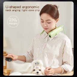 Alta potência Pet Grooming cabelo secador, silencioso, economia de energia, secagem rápida, apenas adequado para países com 220V, Dog Beauty - Image 3