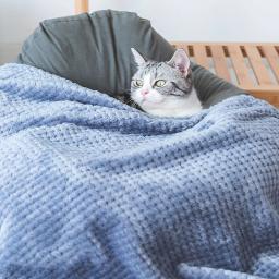 Cobertor De Lã Macio Quente Para Animais De Estimação, Almofada De Dormir De Gato Fuzzy, Cobertor De Prateleira, Esteira Grossa Para O Inverno, Construir Uma Casa - Image 4
