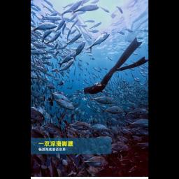 Livre Pesca Mergulho e Caça Fins, Long Swimming Fins, flexível e leve, confortável, homens e mulheres, Novo - Image 5