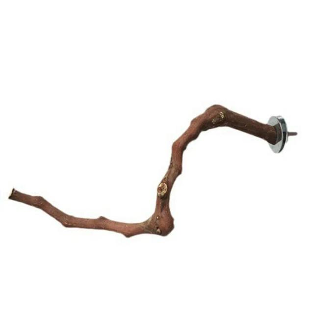 Suporte de Pássaros de Madeira para Calopsitas com Ramo de Árvore e Brinquedos Pendurados