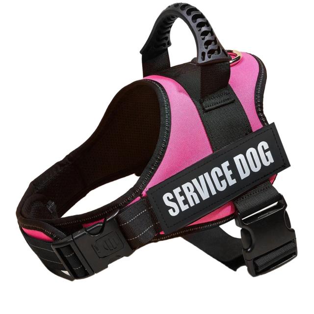 Colete Respirável e Ajustável para Cães com Patch ID Personalizado para Aventuras ao Ar Livre