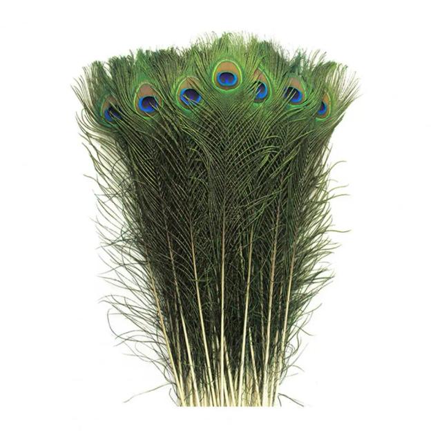 Penas Naturais de Pavão para Arranjos Florais DIY - 30 peças para Decoração de Casamento e Mesas