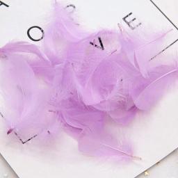100 pçs/lote 3-5 polegada penas naturais colorido pena para festa de casamento roupas decoração plumas para artesanato jóias casa diy - Image 4