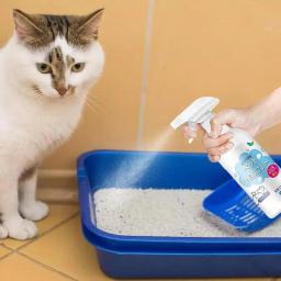 Pet odor removedor spray, cães e gatos, perfume corporal, eliminador, duradouro, limpo, persistente e eficaz para gaiola - Image 3