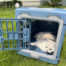 Gaiola dobrável portátil para animais de estimação, caixa de voo, canil respirável para saída Pet Check-in Box - Image 5