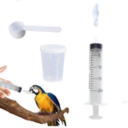 Alimentador De Colher De Alimentação De Pássaro, Baby Bird Parrot Water Medicine Feeding Spoons, Colher De Comida Líquida De Pássaro, Ferramentas de alimentação de pequenos animais - Image 6