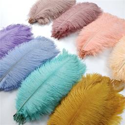 10 pçs/lote penas de avestruz coloridas para artesanato decoração de casamento acessórios de artesanato peças centrais de mesa carnaval plumas decoração - Image 6