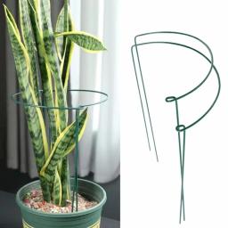 Estacas de suporte de plantas, metade do metal redondo, gaiola e suporte de jardim, suporte de plantas verdes, borda do anel para flor, interior, 6pcs - Image 6
