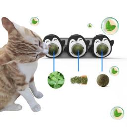 Catnip natural comestível tratar gato doces lambendo lanches, Brinquedos saudáveis gatinho, Promover suprimentos nutricionais - Image 6
