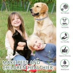 Dewel gato cachorro colar anti pulga carrapatos mosquitos ao ar livre ajustável pet coleiras 8 meses de proteção a longo prazo acessórios para animais de estimação - Image 3