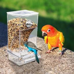 Alimentador Automático De Gaiola De Pássaro, Parrot Food Drink Feeder, Cup Bowls para MessBird - Image 4