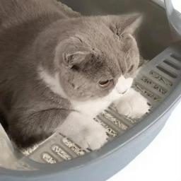 Totalmente Fechado Caixa De Areia De Gato, Kitty Sandbox, Lado Alto, Banheiro à Prova De Respingos, Bedpans Com Colher De Areia De Animais De Estimação, Suprimentos De Gato De Limpeza - Image 6