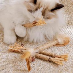 Brinquedos de limpeza de dentes para gato, brinquedo teaser de penas com sino, petiscos, pet moagem suprimentos - Image 4