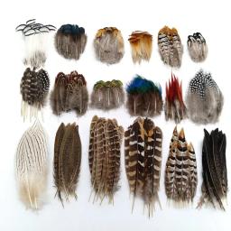 Pena De Faisão Natural Para Decoração De Casamento, Avestruz E Turquia Plume, Acessórios De Natal, Mesa DIY Centere, Artesanato, 20-500Pcs - Image 1