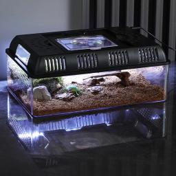 Portador réptil com alça, Tartaruga Terrário, Tanque de répteis para répteis anfíbios, Terrário plástico - Image 1