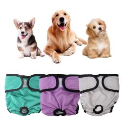 Animal de estimação calças fisiológicas ajustável prendedor fita elástica lavável à prova dcrotch água algodão virilha cachorro calças menstruais fralda sanitária - Image 2