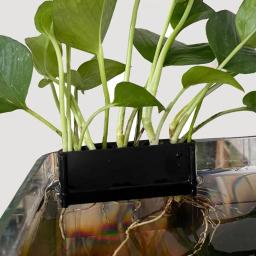 Rack de armazenamento hidropônico para aquário, suporte de plantas, aquário suspenso, pote com furo, suporte de planta aquática, 5 buracos - Image 4