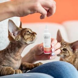 Essência hidratante profunda para animais de estimação, óleo natural para cuidados com filhotes e gatinhos, limpador sem lavagem, duradouro para cuidados com gatos, 200ml - Image 4
