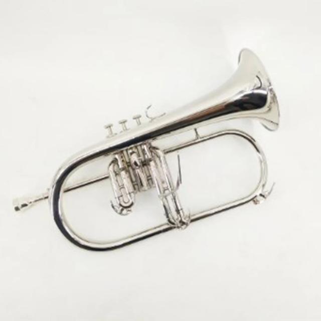 Flugelhorn Niquelado Bb: Transforme Seu Som com Desempenho Profissional e Estilo Popular