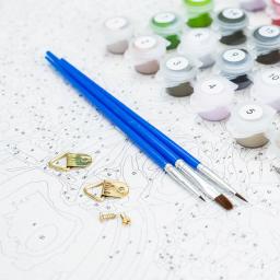 SDOYUNO-foto por número Kits de pintura para adultos, DIY Quadro desenho sobre tela, Flores Pintura, presente original, Decoração para casa, Mod - Image 4