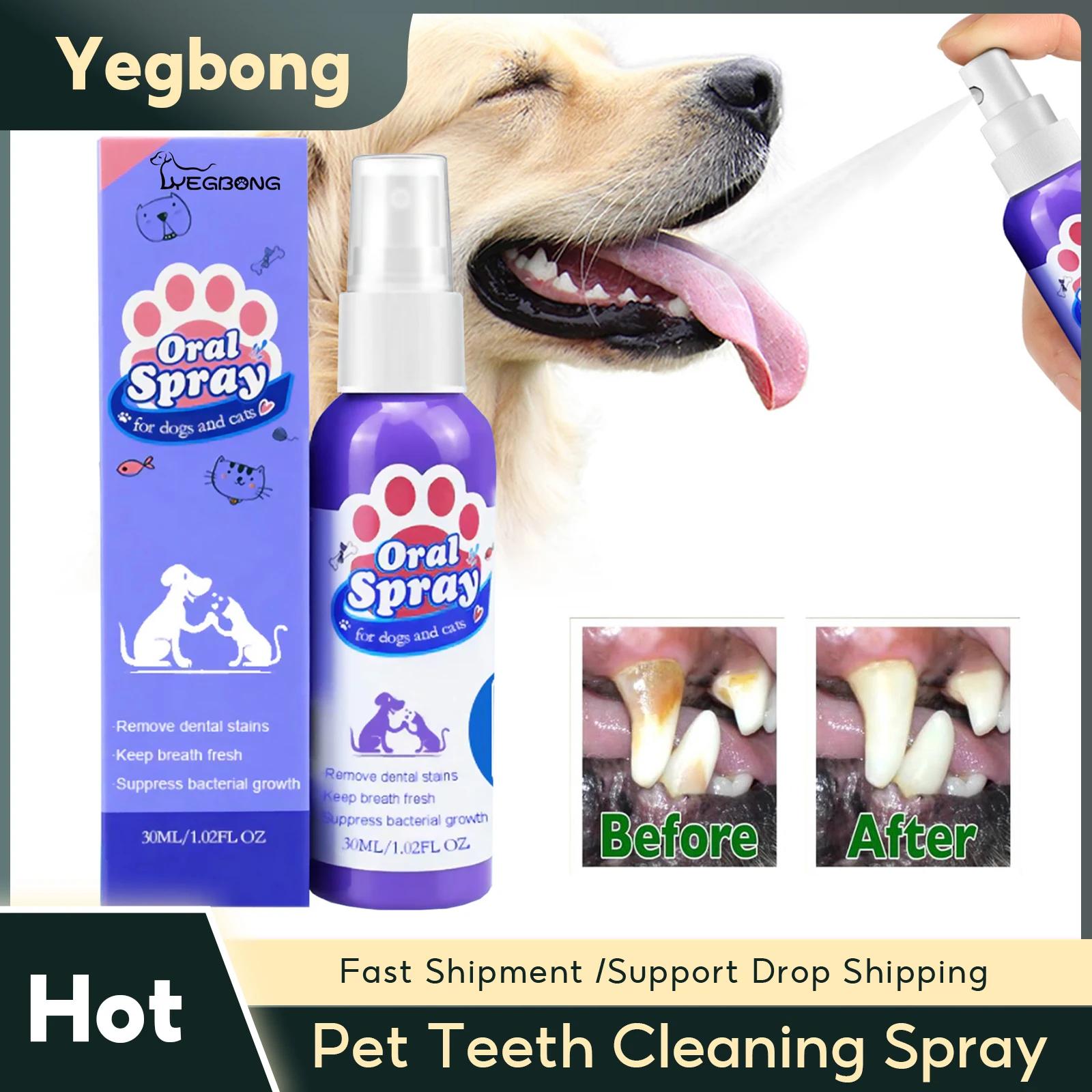 Pet Dentes Limpeza Spray, Calculus mancha removedor, gatinho desodorante, mau hálito tratamento, Oral Care Tool, Dog Cat Desodorante - Image 1