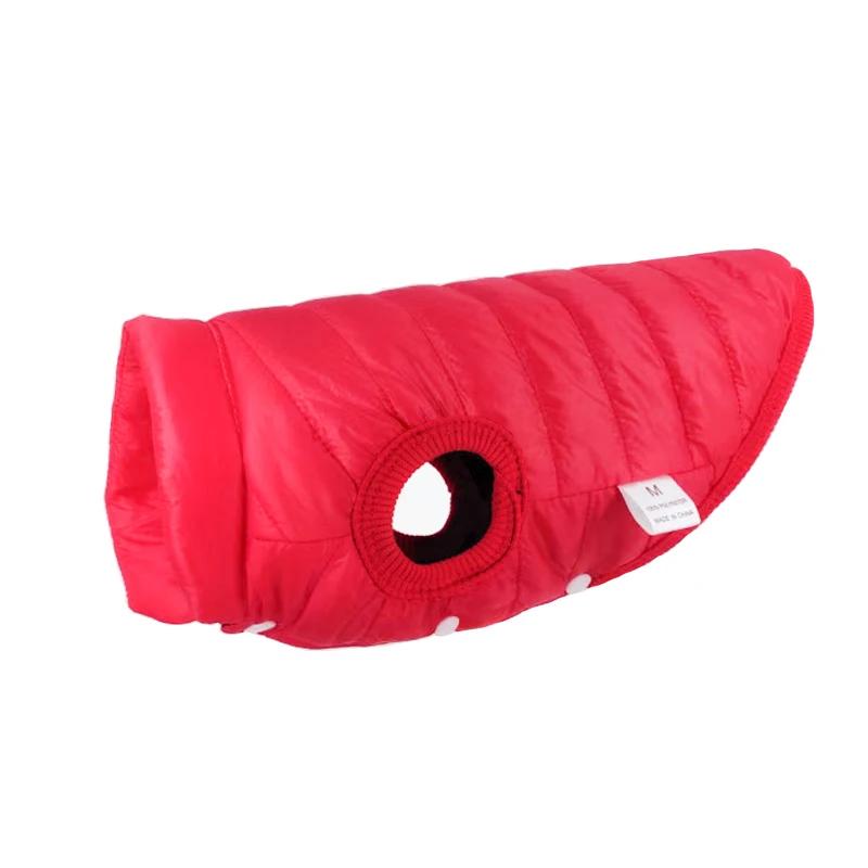 Roupas quentes de inverno para animais de estimação, jaqueta macia, colete para cães pequenos, casaco de gatinho, chihuahua, roupas de buldogue francês - Image 1