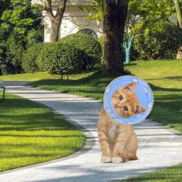 Colar Recuperação Ajustável para Animais de Estimação, Portátil, Macio, Protetor, Respirável, Cone para Gatinhos e Filhotes - Image 5