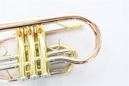 Ouro Rosa E Trompete De Corneta De Latão, preço De Fábrica - Image 3