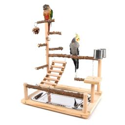 Suporte para poleiro pássaros, brinquedo para papagaios, alimentador exercícios, ferramentas atividade - Image 1
