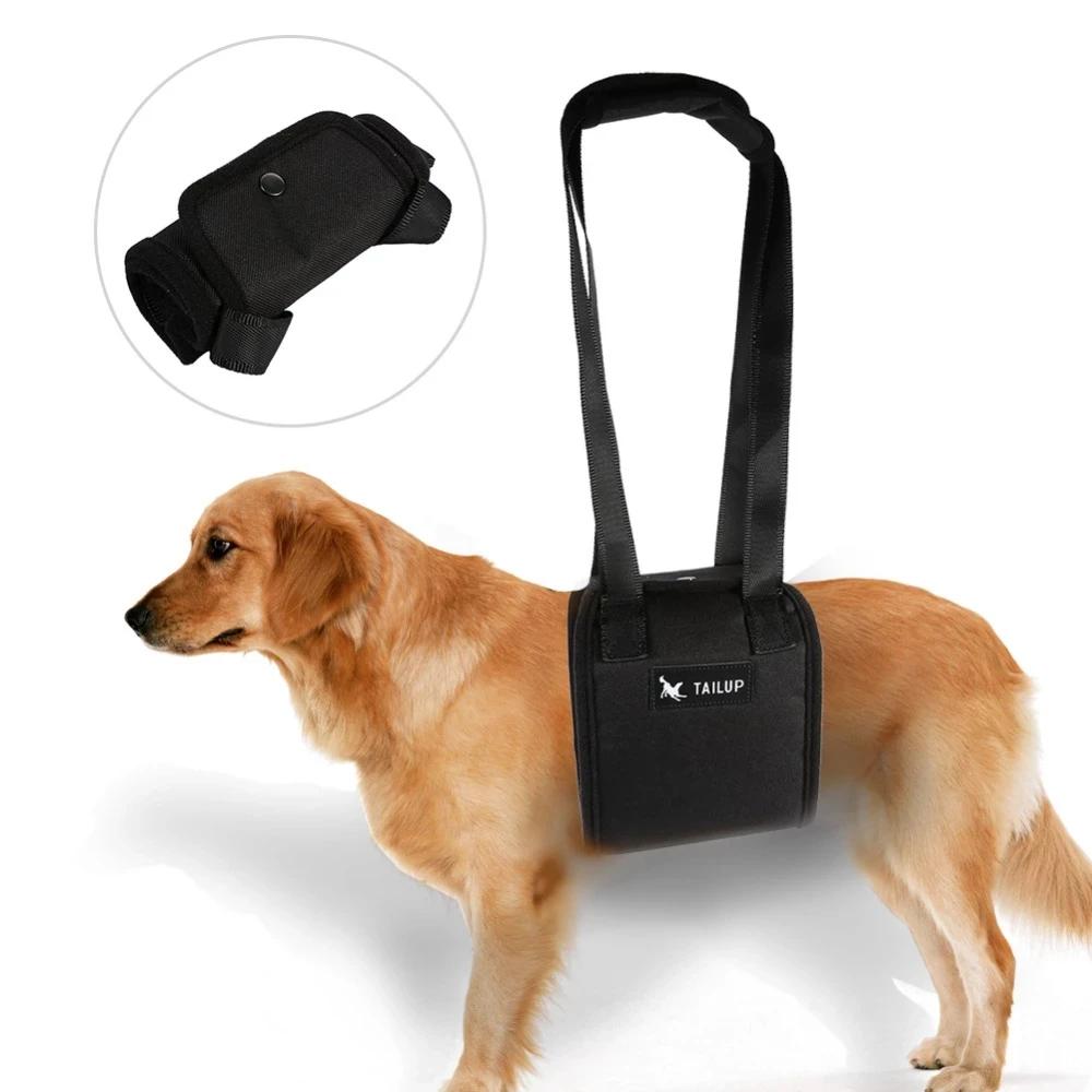 Colete de elevação para cachorro, suporte de elevação para ajuda canina, acessório para animais de estimação s/m/g/xl - Image 1