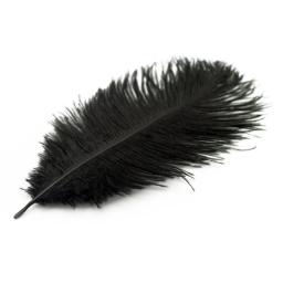 Plumas de Decoração de Penas De Avestruz Preta, Vasos Bordados Artesanais, Mesas De Festa, Decoração DIY, 15-70cm - Image 6